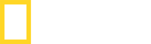 Nat Geo HD Logo