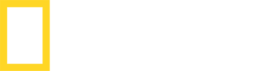 NAT GEO WILD Logo